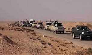 گسترش اختلافات و تسلیم شدن عناصر اصلی داعش در الحویجه