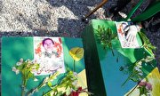 خاکسپاری پیکرهای مطهر دو شهید لشکر فاطمیون در مشهد+ تصاویر