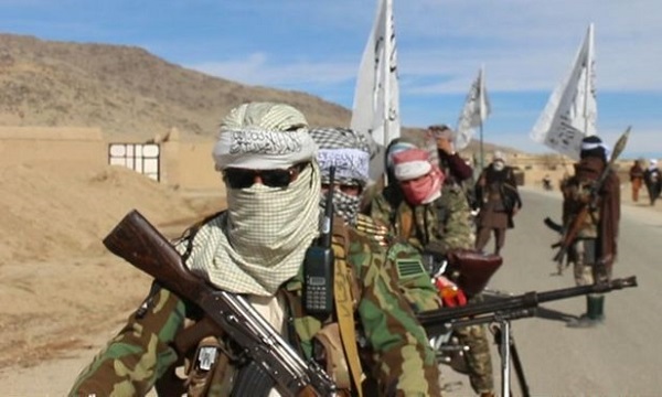 طالبان: دولت افغانستان جنگ را شروع کرد/ آمریکا مداخله نکند