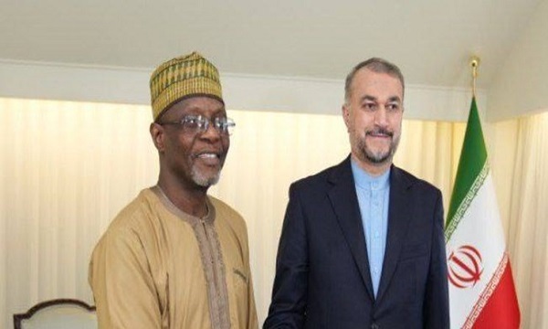 رایزنی امیرعبداللهیان با وزیر خارجه نیجر