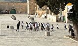 تعرض ۴۲۰ شهرک‌نشین صهیونیست به مسجد الاقصی